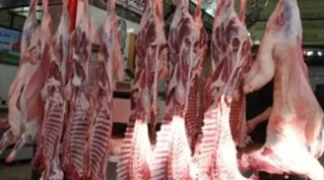 تباين أسعار اللحوم في أسواق كفر الشيخ خلال تعاملات يوم الخميس 26 مارس